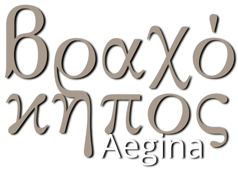 Vrachokipos Aegina Logo